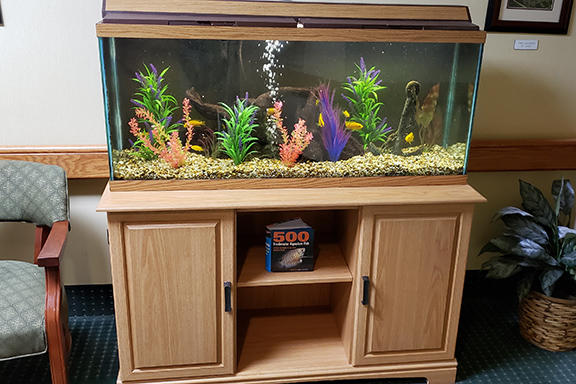 Aquarium Services Inc. - Photo 5