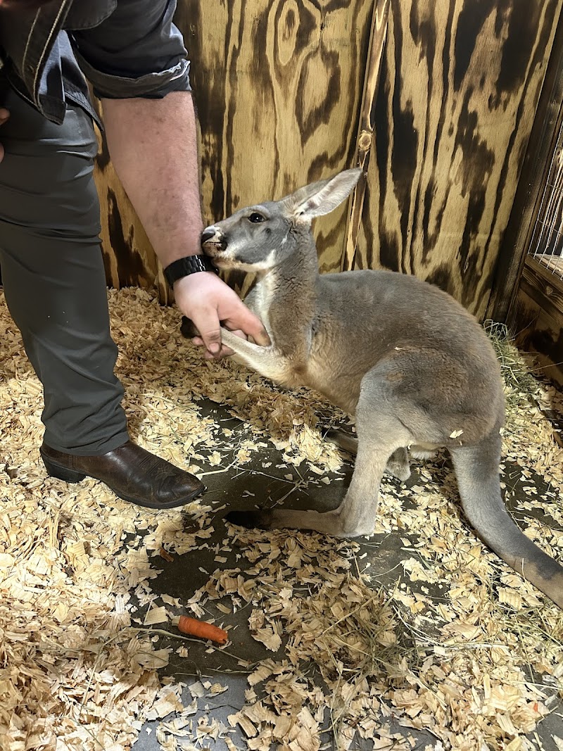 Exotic Pet Paradise - Photo 1