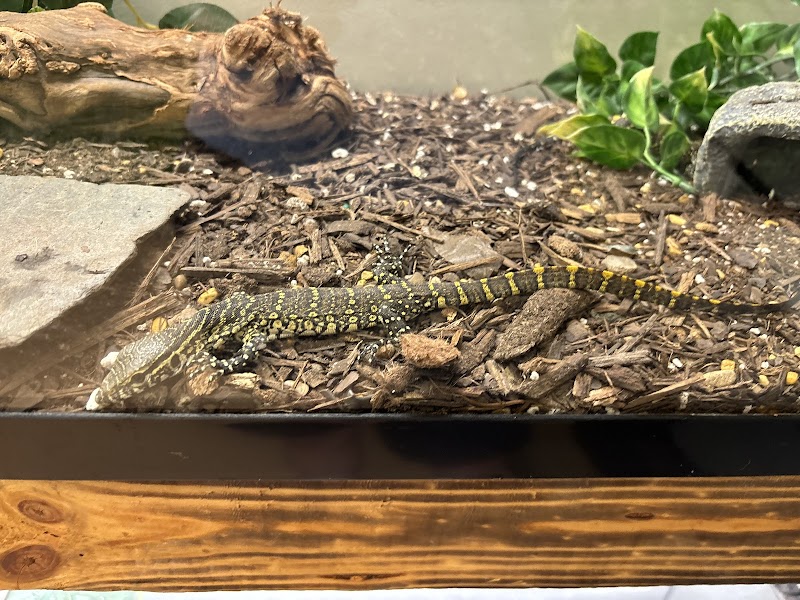 Exotic Pet Paradise - Photo 2