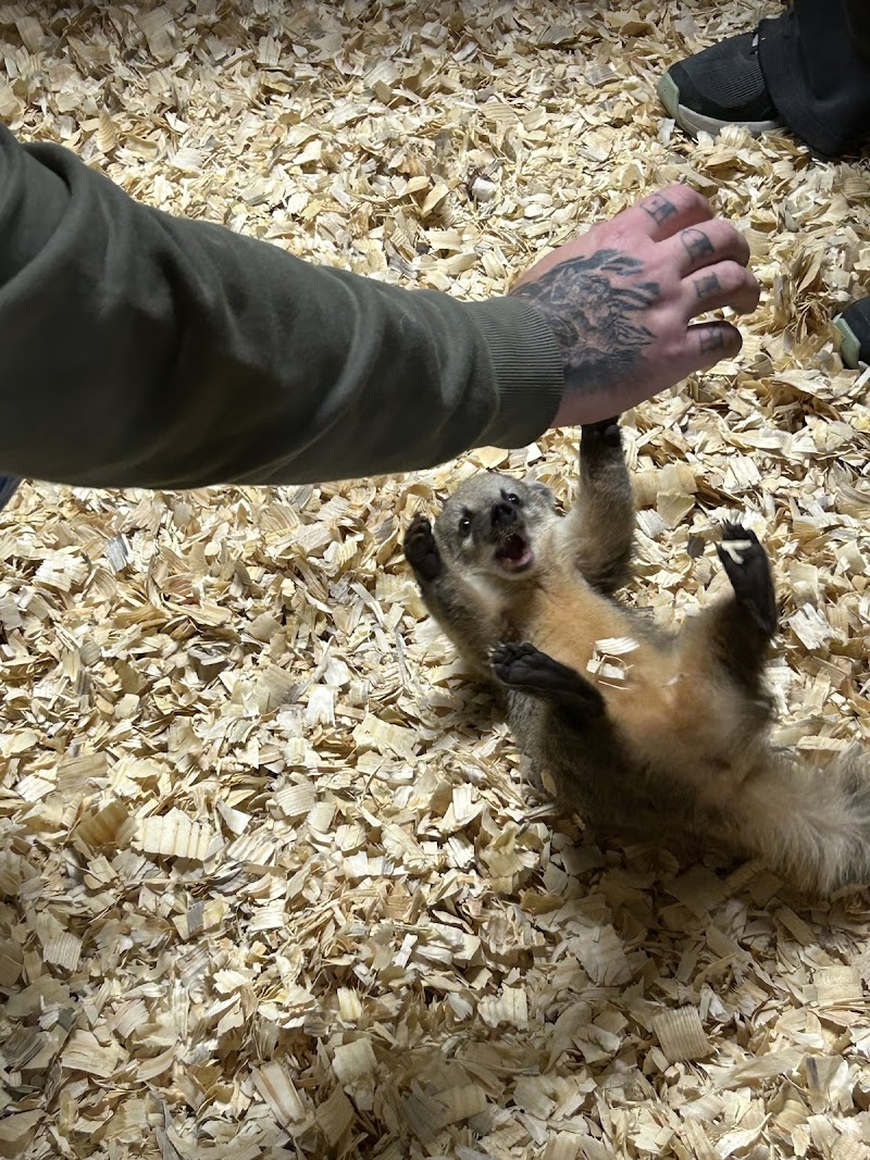 Exotic Pet Paradise - Photo 4