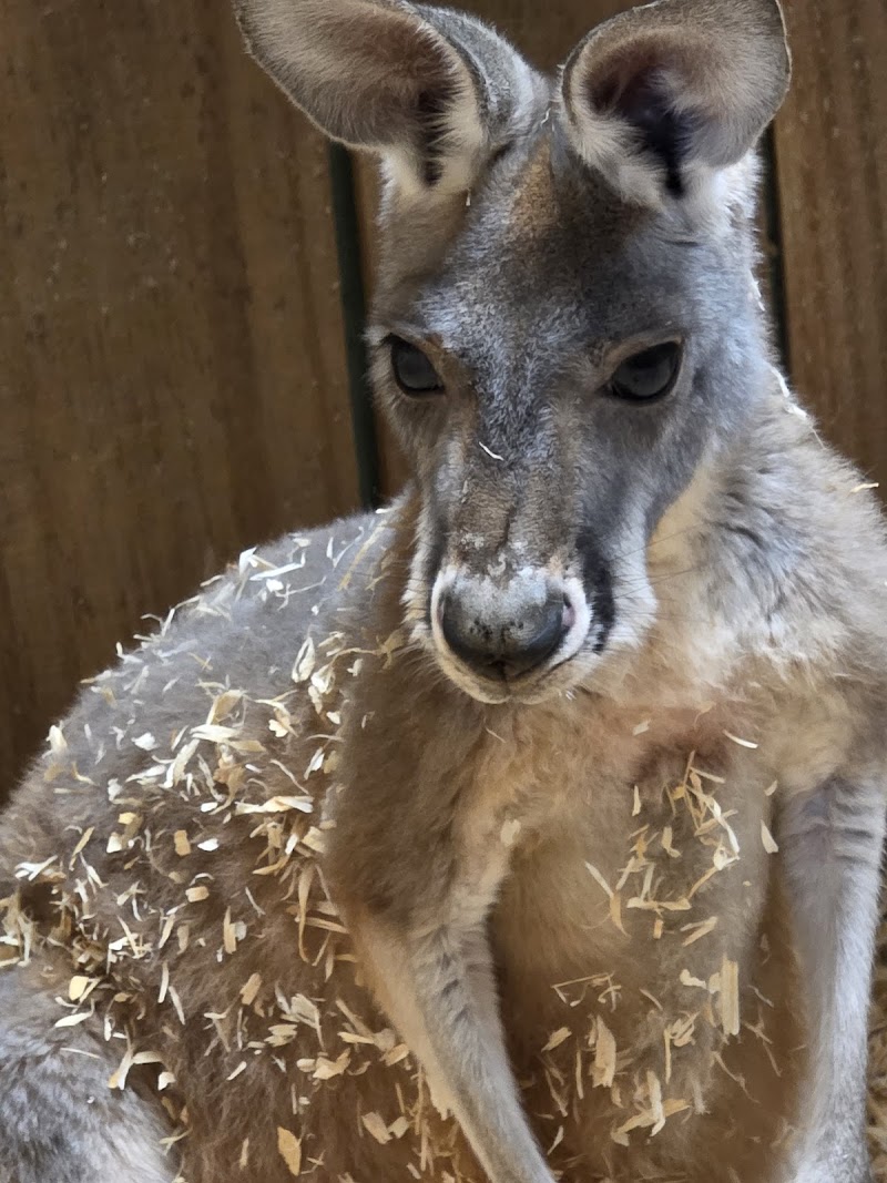 Exotic Pet Paradise - Photo 5