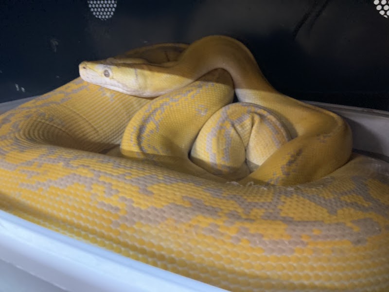 Ohio Pet Depot - Photo 3