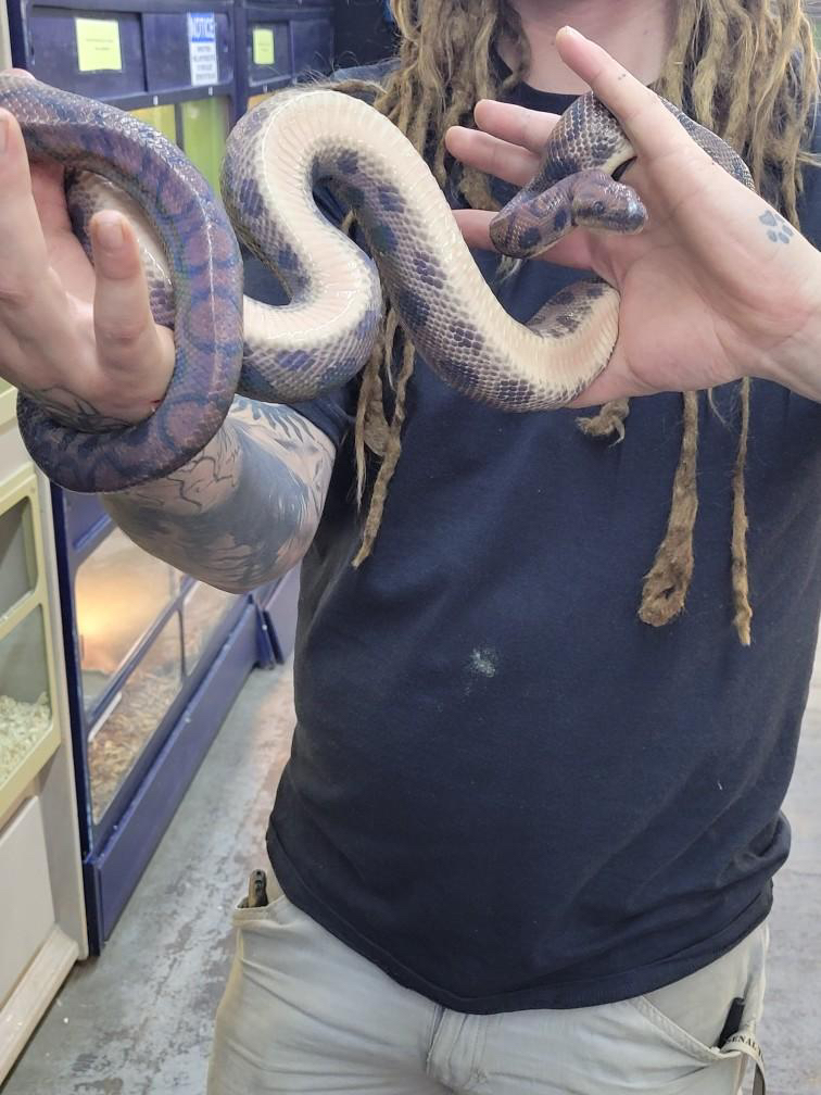 Ohio Pet Depot - Photo 5