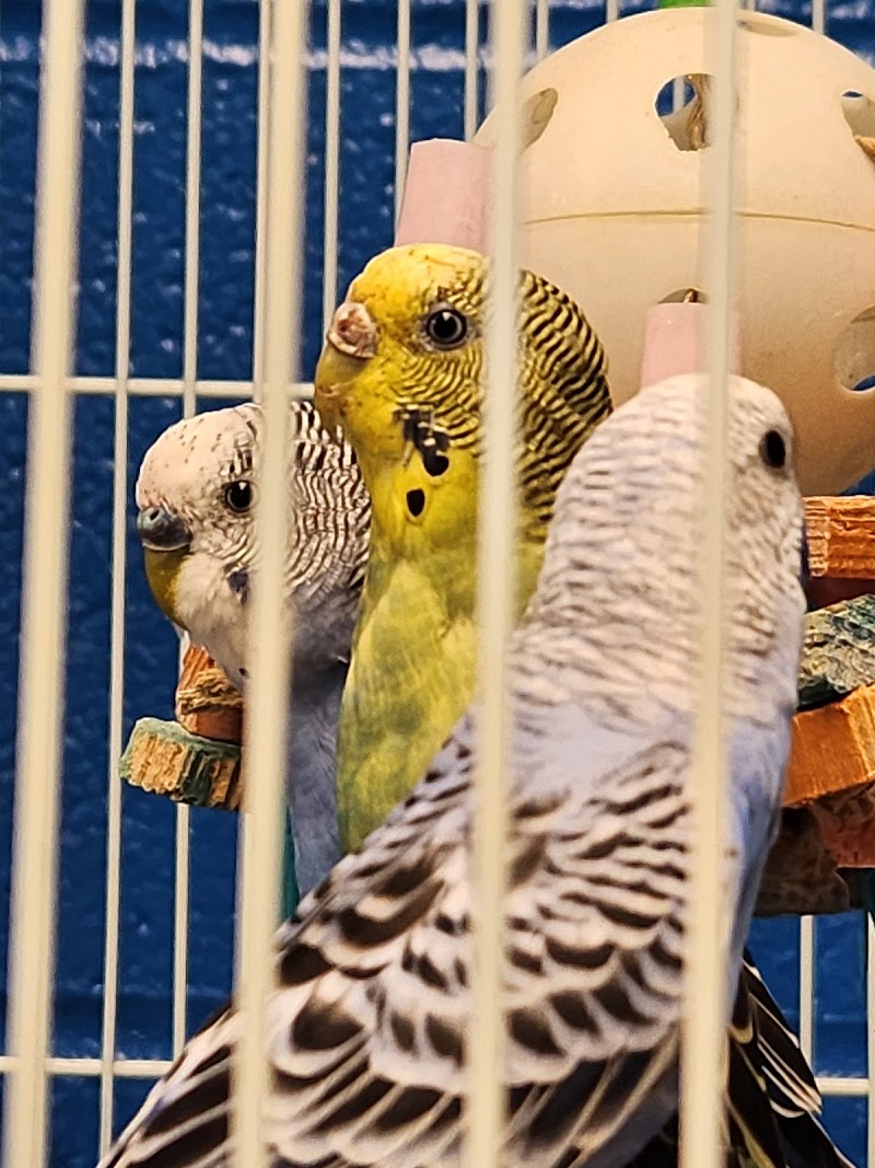 Gordon’s Aquatics LLC - Photo 3