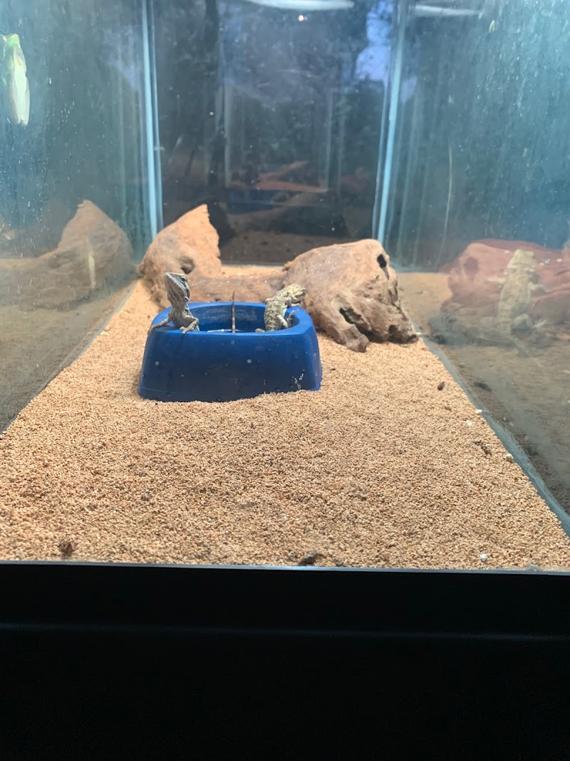 Gordon’s Aquatics LLC - Photo 5