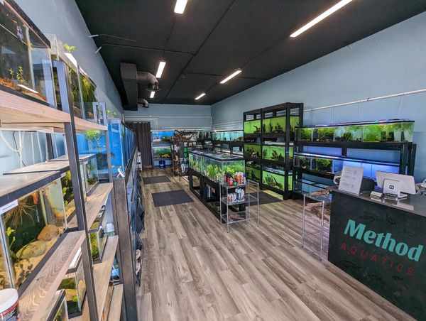 Method Aquatics - Photo 2