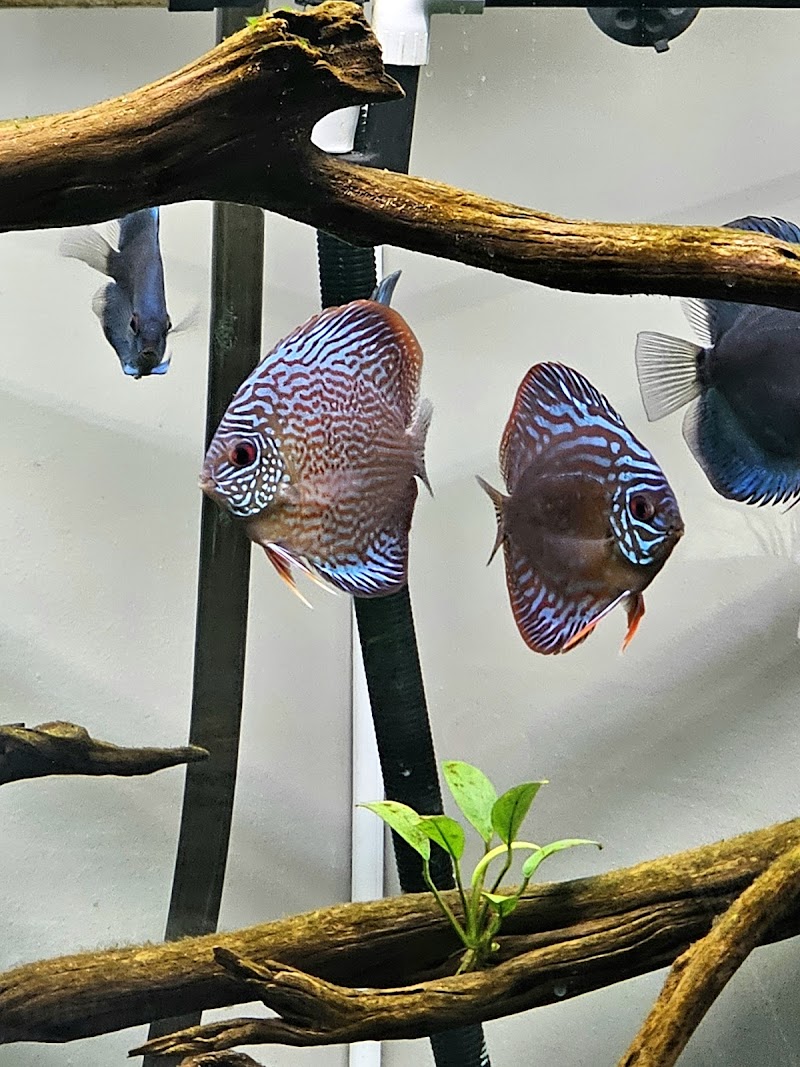 Method Aquatics - Photo 3