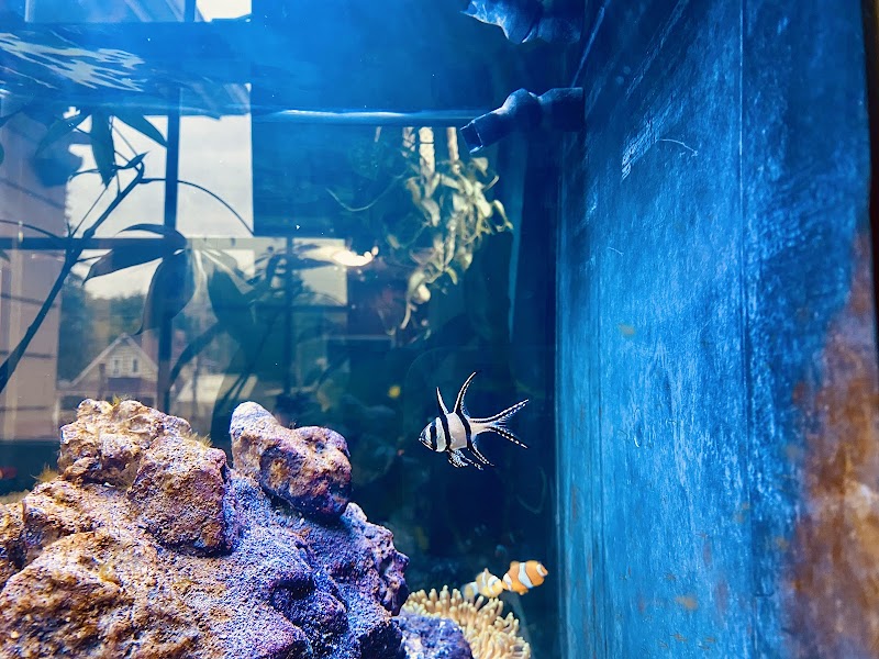 Aquarium World LLC - Photo 2