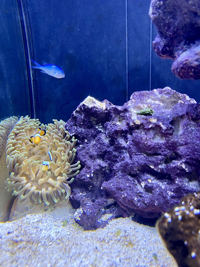 Aquarium World LLC - Photo 3