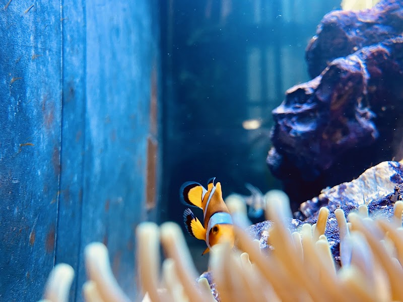 Aquarium World LLC - Photo 4