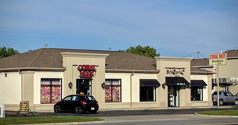 Coral Reef - Photo 1