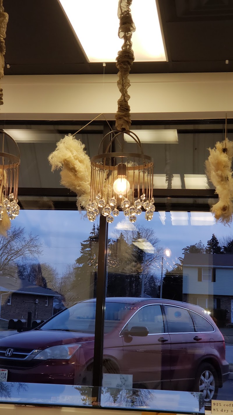 Coral Reef - Photo 3