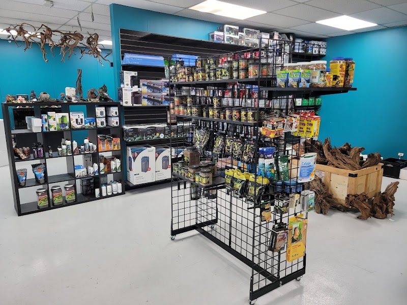 Clean Aquariums - Photo 2