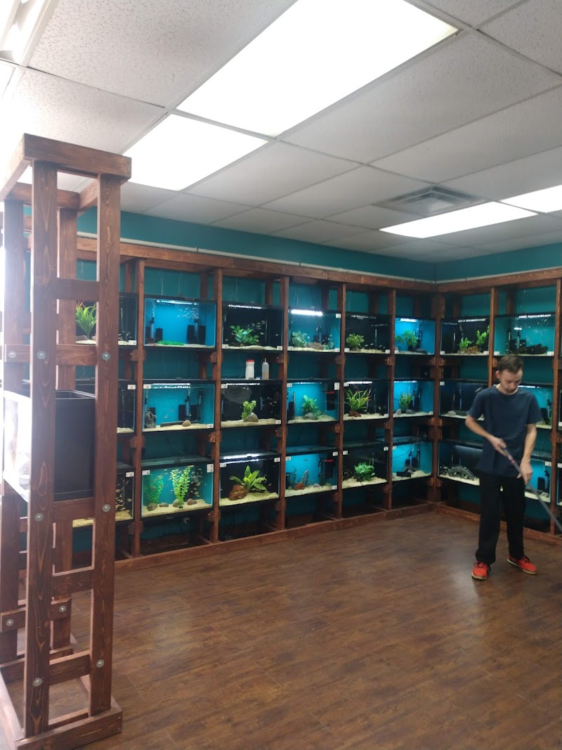Clean Aquariums - Photo 3