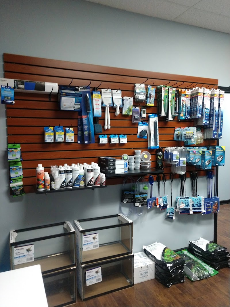 Clean Aquariums - Photo 4