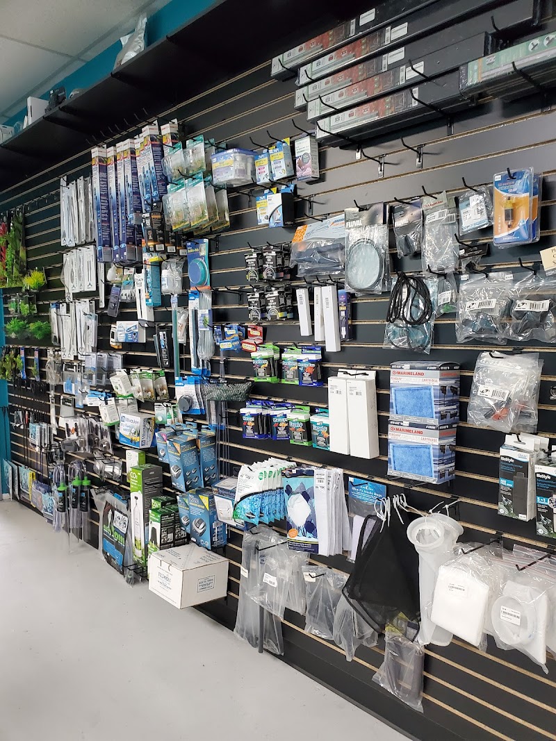 Clean Aquariums - Photo 5