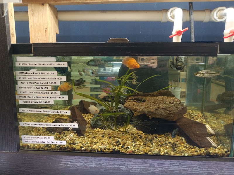 Pet Finatics - Photo 1