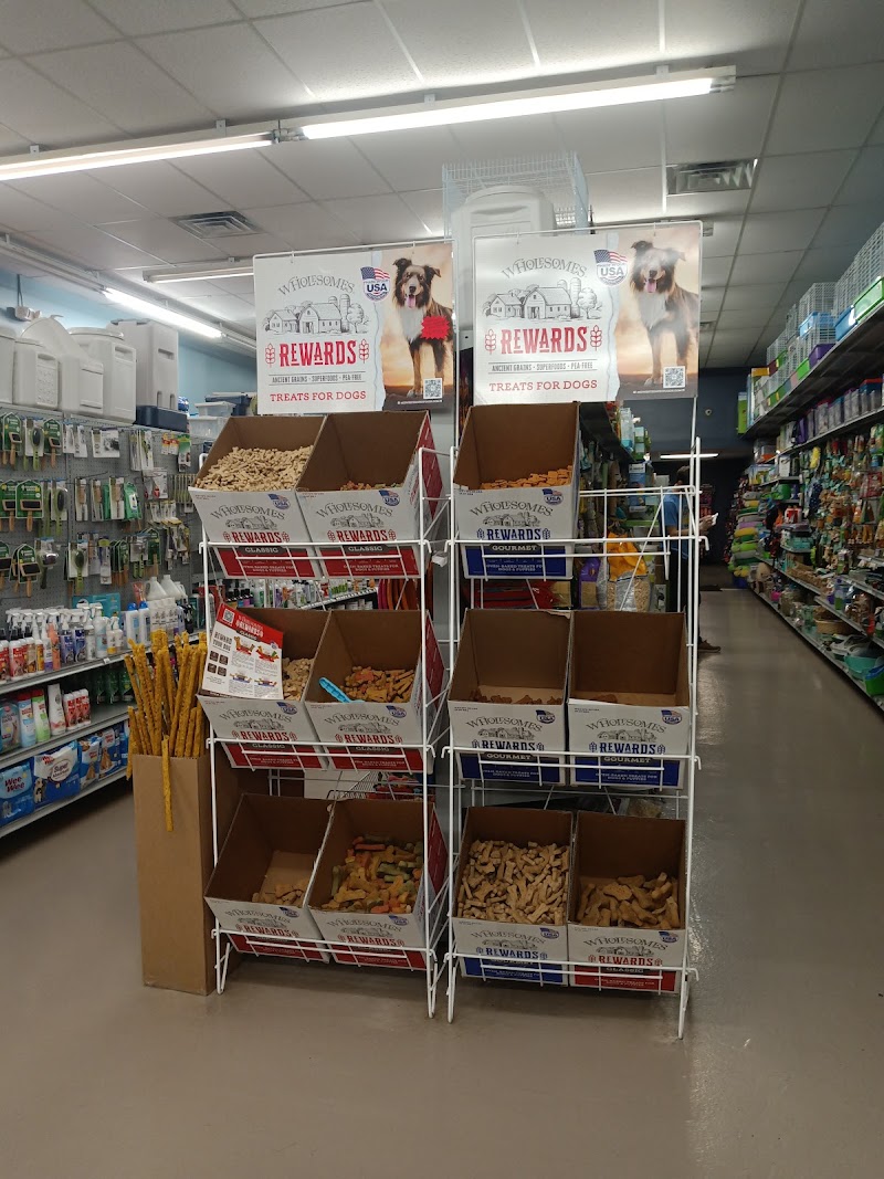 Pet Finatics - Photo 2