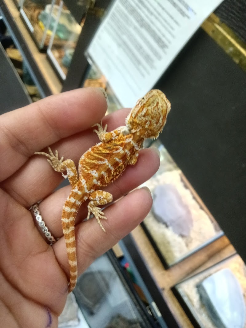 Pet Finatics - Photo 4