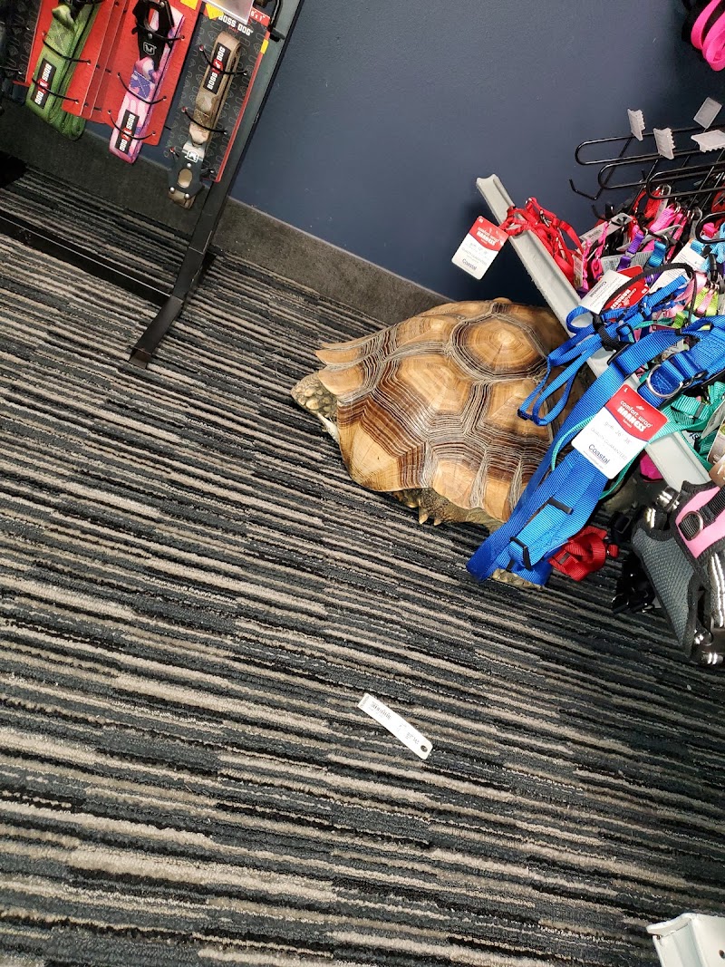 Pet Finatics - Photo 5