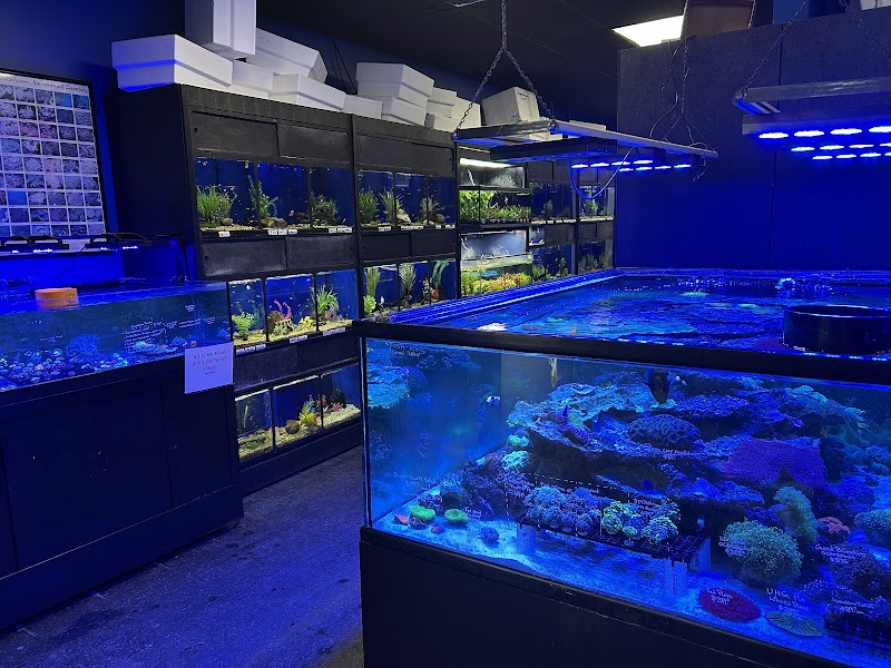 Exotic Aquatics - Photo 2