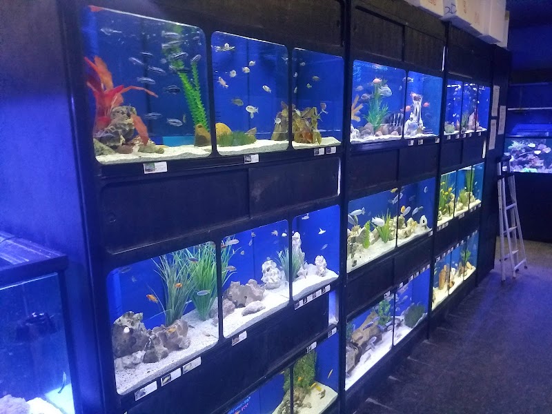 Exotic Aquatics - Photo 3