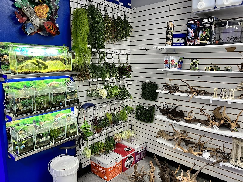 Exotic Aquatics - Photo 4