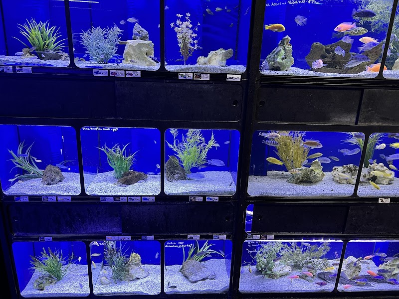 Exotic Aquatics - Photo 5