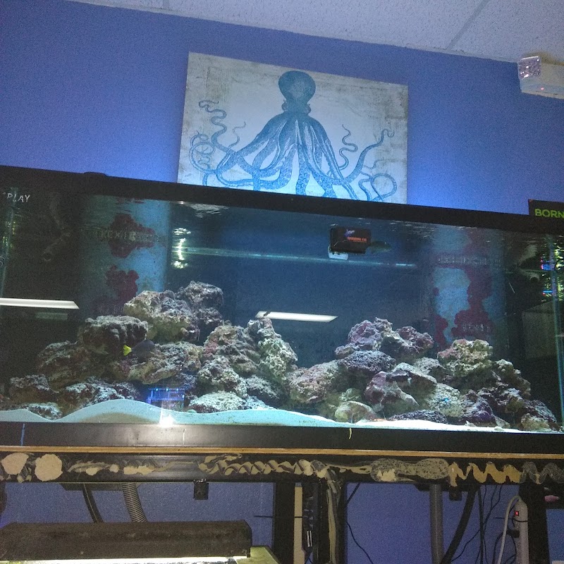 Aquarium- Tropical Fish & Supply, Inc - Photo 5