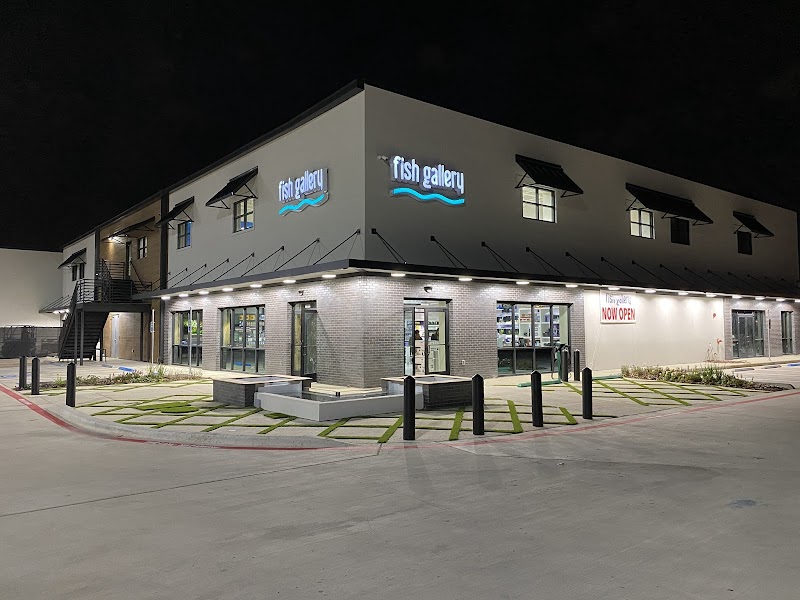 Fish Gallery | Aquarium Superstore - Photo 1