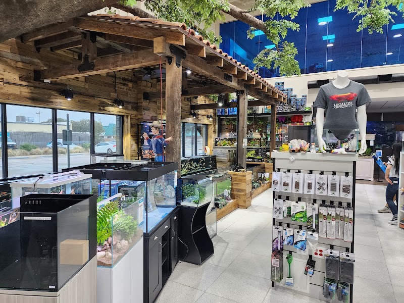 Fish Gallery | Aquarium Superstore - Photo 2