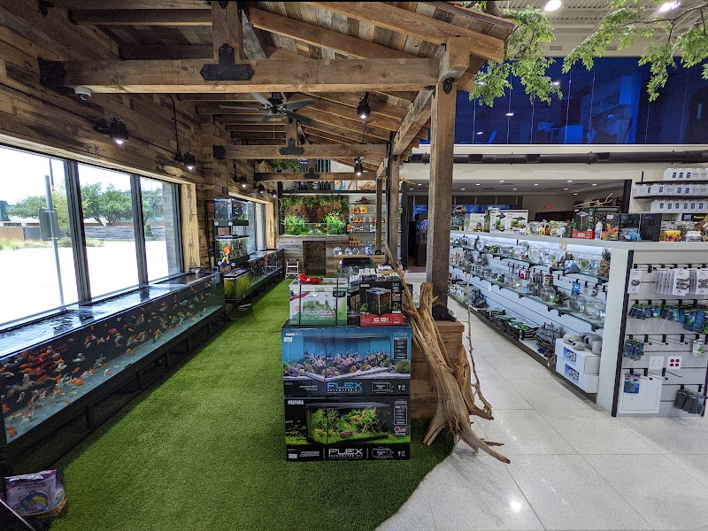 Fish Gallery | Aquarium Superstore - Photo 5