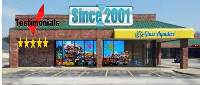 Glass Aquatics - Photo 1