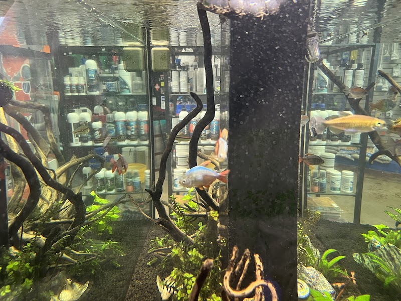 Glass Aquatics - Photo 2