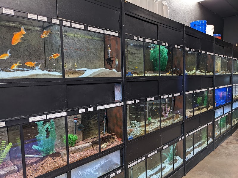 Glass Aquatics - Photo 3