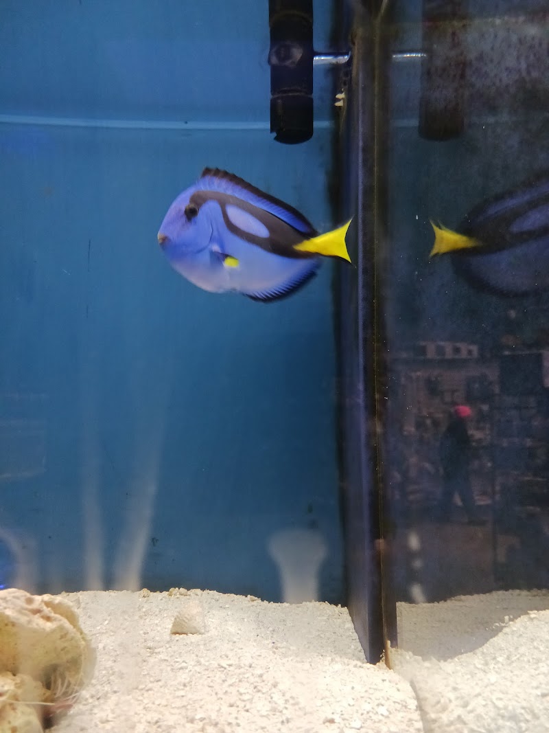 Glass Aquatics - Photo 4