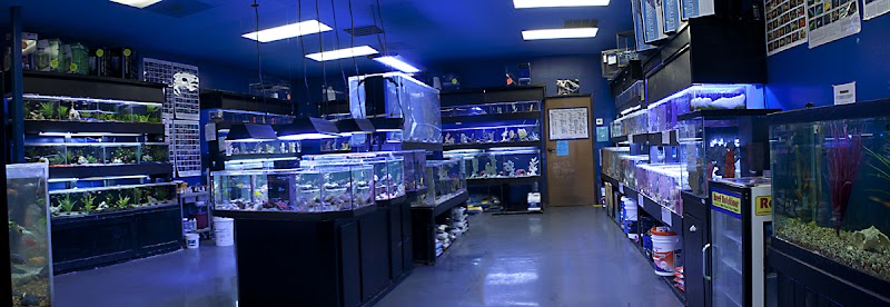 Aquatic Design Aquariums - Photo 2
