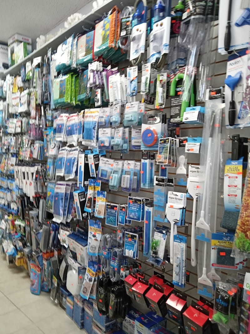 Aquatic Design Aquariums - Photo 3