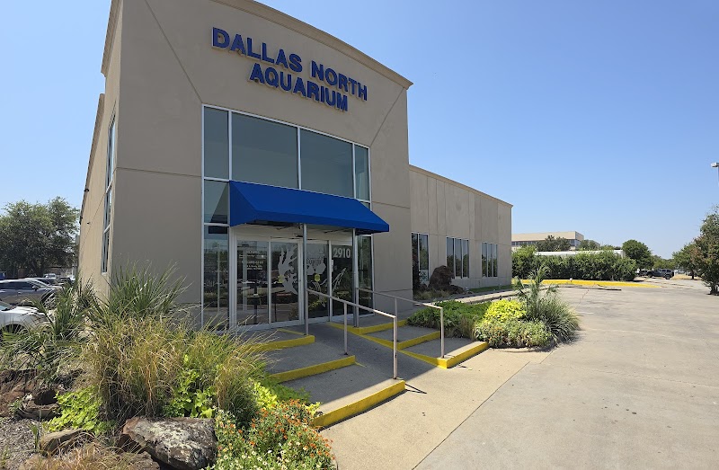 Dallas North Aquarium - Photo 1