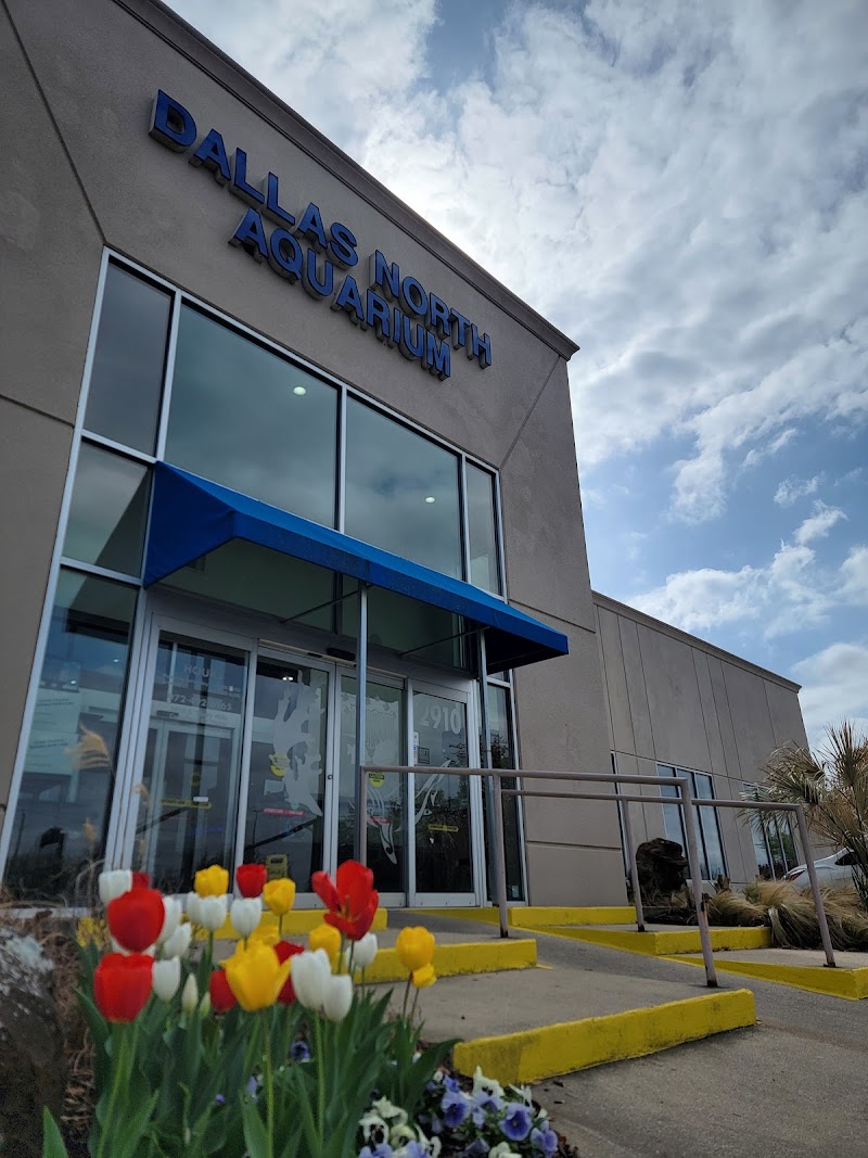 Dallas North Aquarium - Photo 2