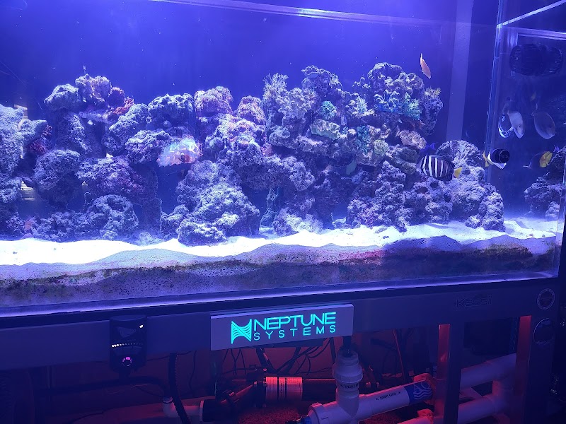 Aquarium Customs, INC. - Photo 3