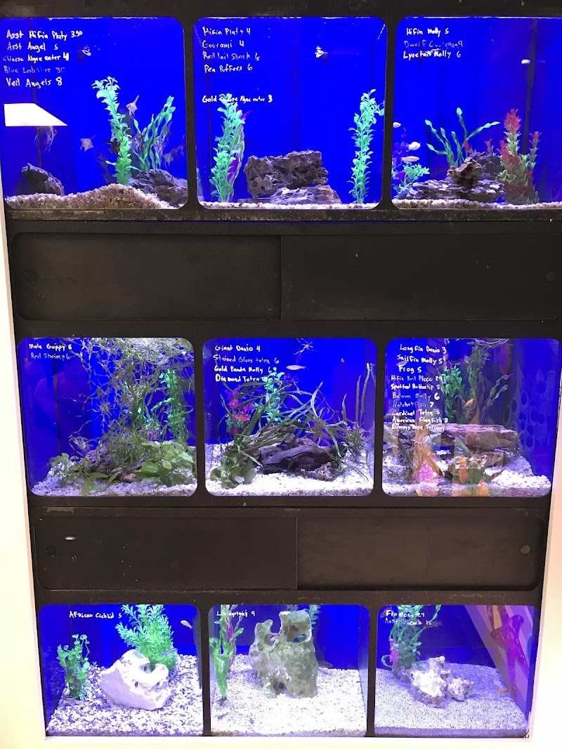 Aquarium Customs, INC. - Photo 4