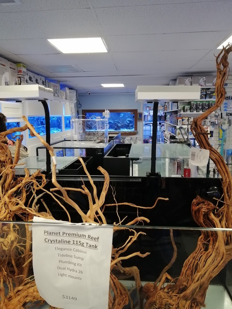 Aquarium Customs, INC. - Photo 5