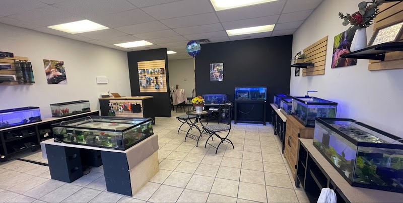 Axolotls Tulsa - Photo 5