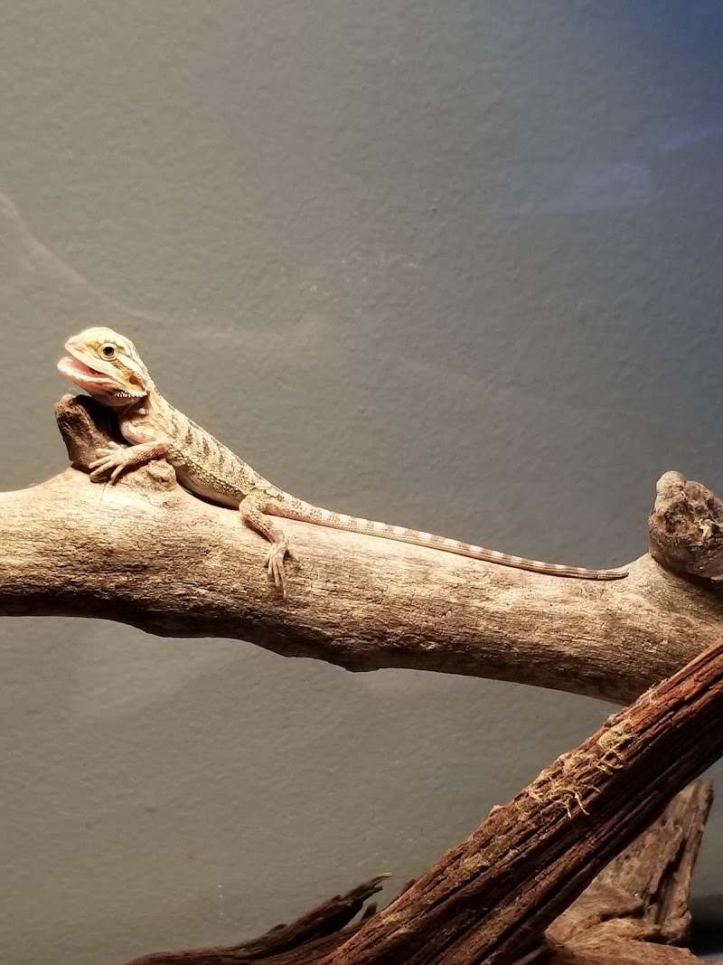 Adam's Pet Shop - Photo 4