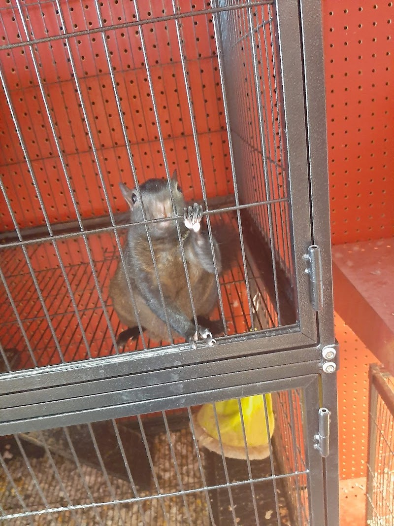 Adam's Pet Shop - Photo 5