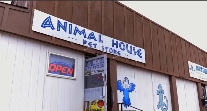 Animal House - Photo 1
