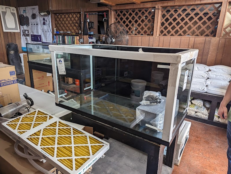 Prestige Worldwide Corals - Photo 3