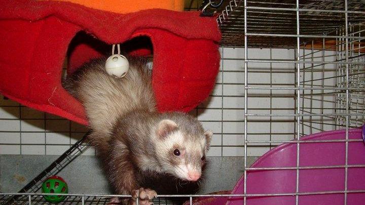 The Aquarium Pet Store - Photo 2