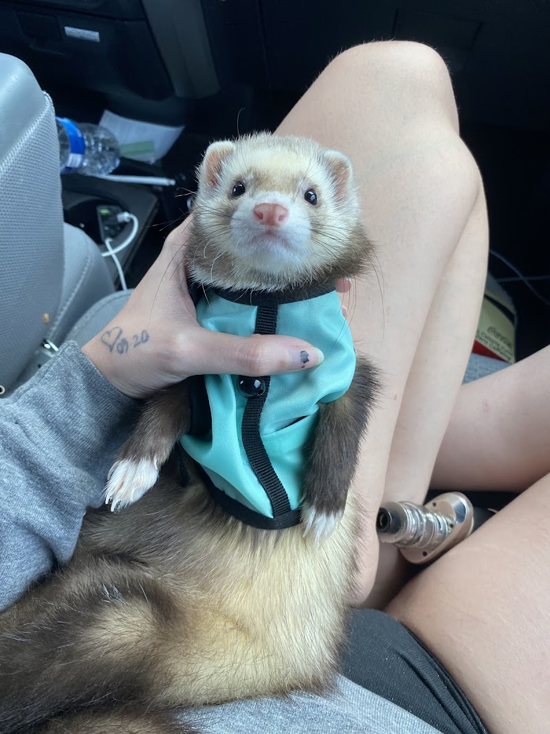 The Aquarium Pet Store - Photo 4